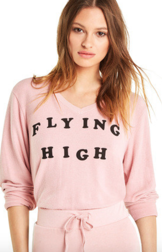 Wildfox Flying High Baggy Beach V Sweater